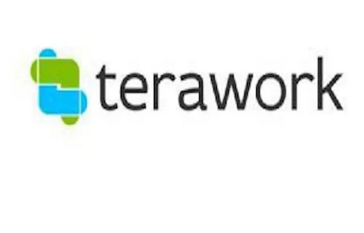 Recruitment: Apply For Terawork Job Vacancies