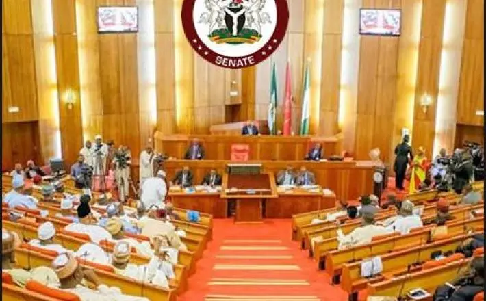 Don’t Deny Southeast Senate Presidency – Pressure Group Urges APC Leadership