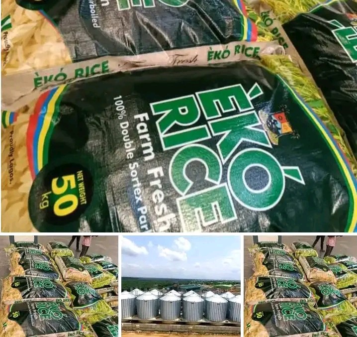 Lagos State To Begin Eko Rice Sales Next Month