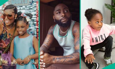 Davido Fires Back At Sophia Momodu For Bringing Up Late Ifeanyi’s Death During Custody Battle Of Imade