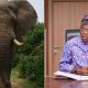 Story Of Nigerian Minister Who Adopted An Elephant As Member Of His Family