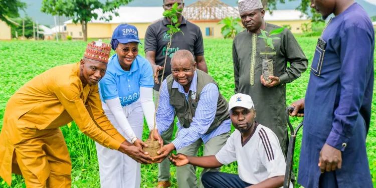 FirstBank, NCF Extend Tree Planting To FCT With 50,000 Target