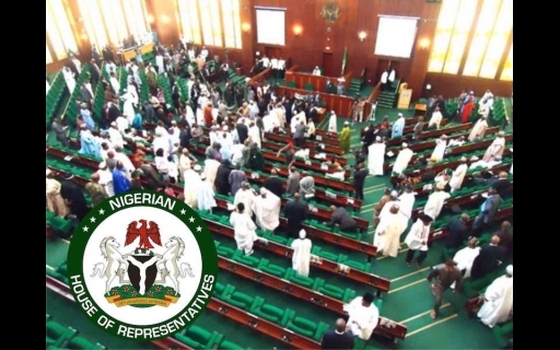 Nigerians Who Don't Recite New National Anthem To Face 10-year Jail Term And Pay ₦5m Fine
