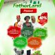 Introducing "My Fatherland" By Adron Homes: Uniting Nigerians Through Land Ownership