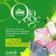 Ecobank Introduces “Oja Oge” Pop-up Marketplace For Fashion, Beauty, Wellness, Lifestyle Trends And Entertainment