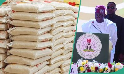 FG, Food, Rice, Security
