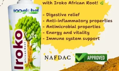 iGOglobal International