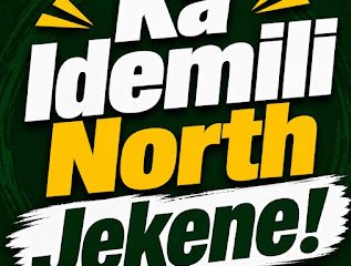 Rotation, House of Representatives Election and Idemili North's Case