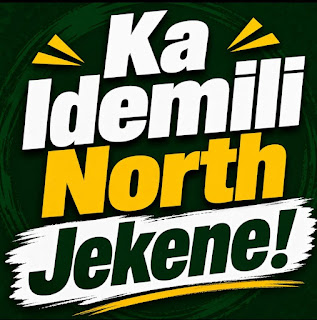 Rotation, House of Representatives Election and Idemili North's Case